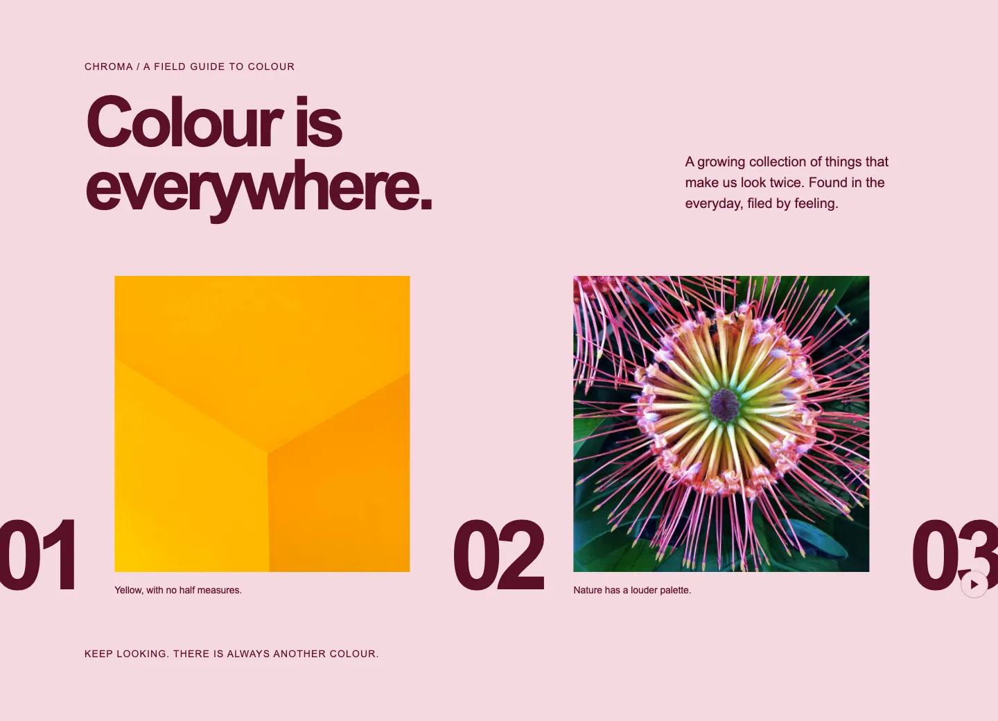 Colour Parade, Designed appearance