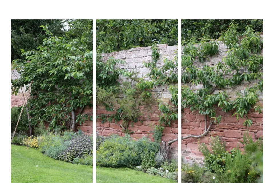 Cover triptych rendered in Twenty Twenty-Five
