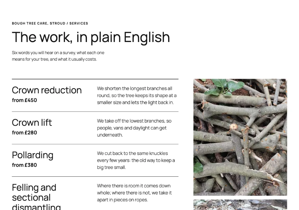 Services tree work glossary rendered in Twenty Twenty-Five